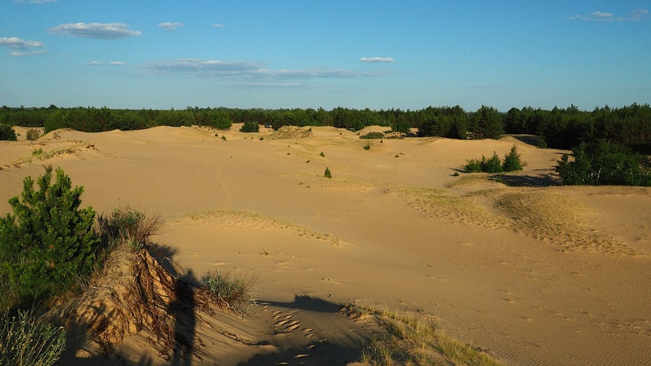 Главная картинка новости: Воронежский туризм развивается за счет села