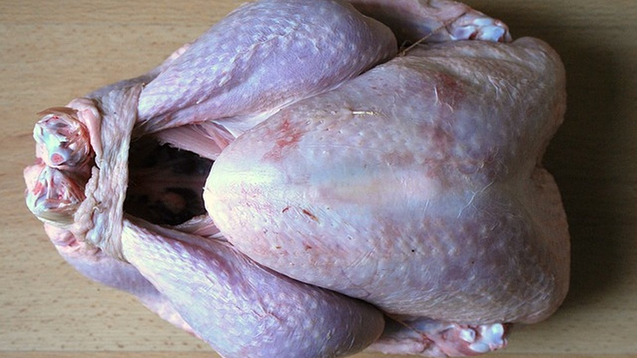 Главная картинка новости: В Воронеже нашли вирус птичьего гриппа в мясе индеек