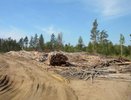 Общий убыток воронежских предприятий приблизился к 7 млрд рублей