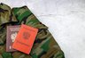 Миниатюра новости: 80 «новых» граждан поставили на учет в Воронежской области