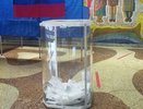 Воронежский облизбирком освободил от должностей председателей двух территориальных комиссий