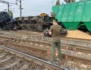 Причину схода восьми вагонов с зерном в Воронежской области назвал Следственный комитет 