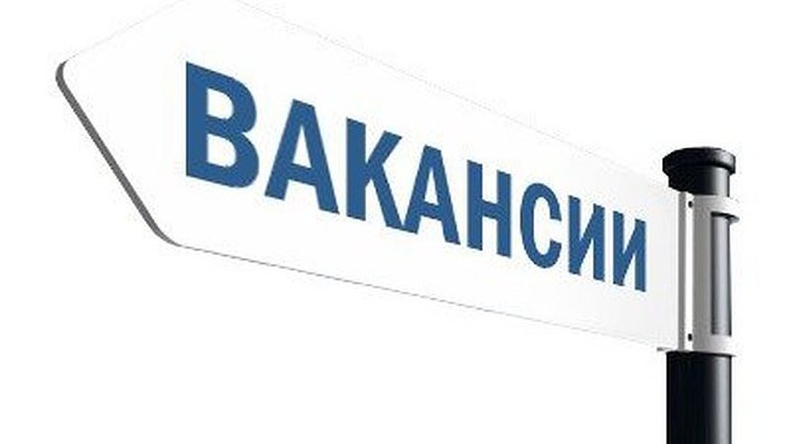 Главная картинка новости: Эксперты назвали самые дорогие вакансии в Воронеже 