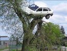 Воронежцев будут наказывать за опасное вождение 