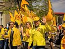 За возврат прямых выборов воронежского мэра выступила еще одна партия