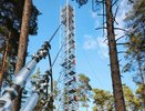 В Воронежской области открылась эколого-климатическая станция на базе карбонового полигона