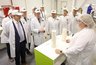 Миниатюра новости: «Молвест» построит в Воронежской области завод за 8,5 млрд рублей
