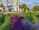 84% воронежцев требуют новых зеленых насаждений в городе