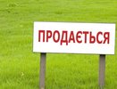 Воронежский ДИЗО не отдал «Выбору» сельскохозяйственную землю 