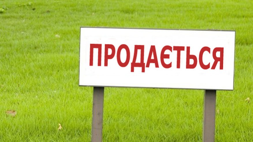 Главная картинка новости: Воронежский ДИЗО не отдал «Выбору» сельскохозяйственную землю