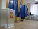 Воронежские социологи пересчитали избирателей-отказников