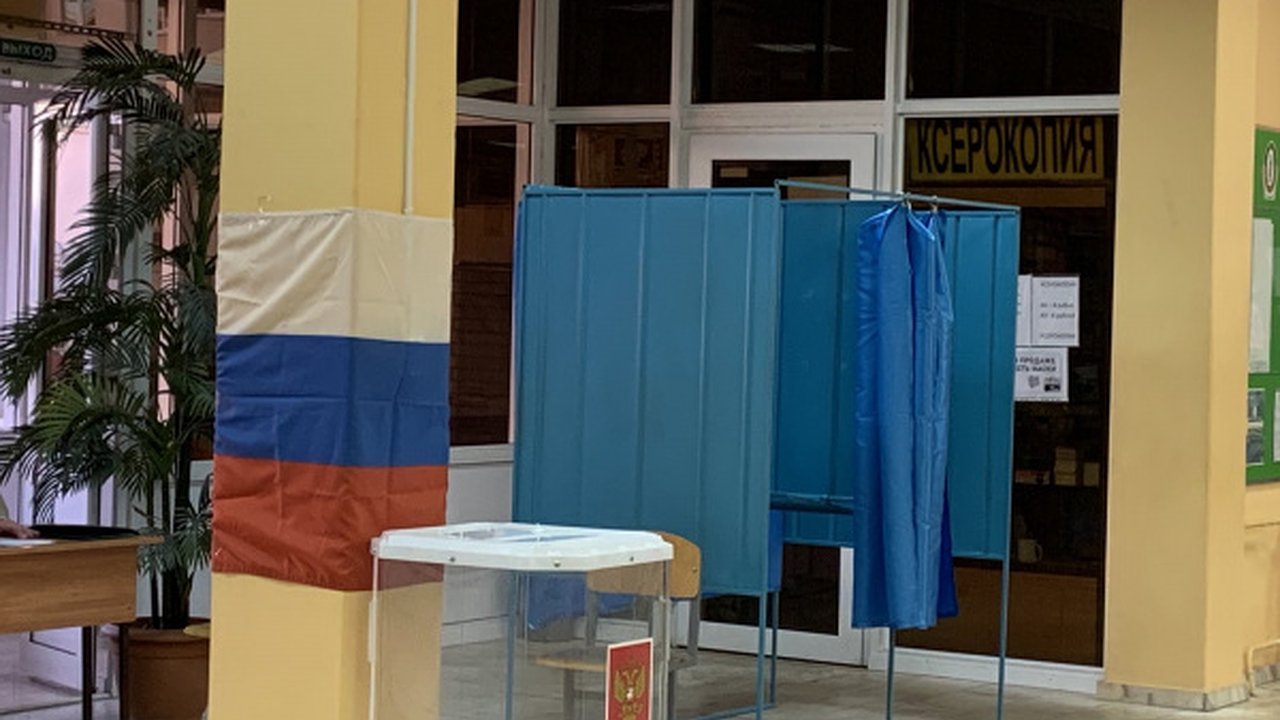 Главная картинка новости: На выборах в Госдуму планируют поучаствовать 44,4% воронежцев 