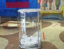 Избирательная комиссия Воронежской области подвела итоги выборов в Госдуму