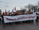 Воронежцы выступили за возвращение прямых выборов мэра