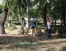 Против уничтожения рябиновой аллеи в Воронеже выступили уже 620 человек