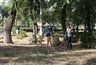 Миниатюра новости: Против уничтожения рябиновой аллеи в Воронеже выступили уже 620 человек