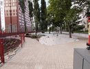 Сквер «Трамвай желаний» в Воронеже передадут в муниципалитет?