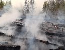 Александр Гулягин проверит причины возгораний в пригородах Воронежа