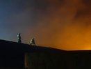 В Воронежской области введен режим ЧС из-за пожаров