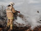 В Воронежской области ликвидированы все крупные пожары