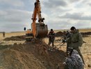 На землях вблизи стройки Агроэко под Воронежем найдены останки 14 солдат