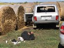 Силовики задержали подозреваемого в убийстве семьи и нападении на отдел полиции в Воронежской области