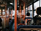 Мэрия Воронежа раскрыла причины несоблюдения графика движения общественным транспортом