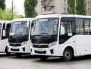 В Воронеже у семи маршрутов общественного транспорта изменятся порядковые номера