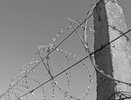 Подозреваемого в избиении людей воронежского подростка отправили в СИЗО