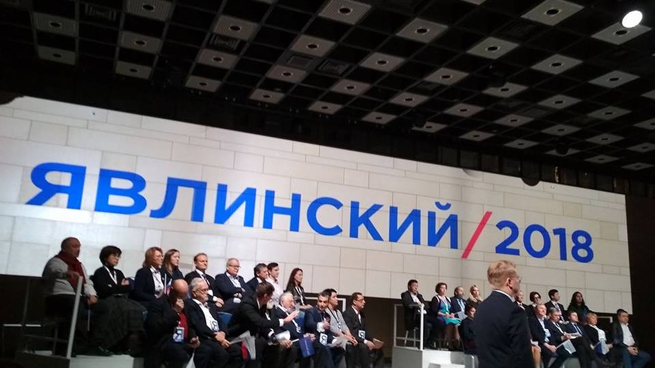 Главная картинка новости: Воронежские «яблочники» поддержали основателя партии