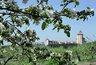Миниатюра новости: Воронежской прокуратуре удалось отстоять право госсобственности на яблоневые сады