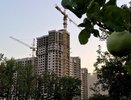 Воронежский яблоневый сад хотят вернуть Российской Федерации
