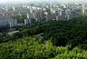 Миниатюра новости: В Воронеже продолжается разбирательство с яблоневым садом