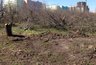 Миниатюра новости: Воронежский яблоневый сад отдадут под многоэтажную застройку