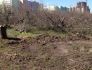 Воронежский арбитраж оставил яблоневый сад за «Выбором»