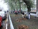 Ремонт в воронежском Комсомольском сквере подешевел на 900 тыс. рублей