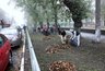 Миниатюра новости: Ремонт в воронежском Комсомольском сквере подешевел на 900 тыс. рублей