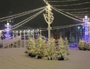 Петарды и шум до утра больше всего раздражает воронежцев в Новый год