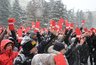 Миниатюра новости: Воронежскую оппозицию отправили в заповедный лес