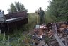 Миниатюра новости: Сохранение лесов и чистая страна. Какие приоритеты в сфере экологии у Воронежской области