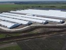 Что происходит в Верхнемамонском районе после строительства свинокомплекса «Агроэко»? 