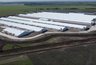 Миниатюра новости: Что происходит в Верхнемамонском районе после строительства свинокомплекса «Агроэко»? 
