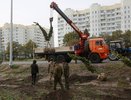 На озеленение Воронежа планируется потратить 18 млн рублей
