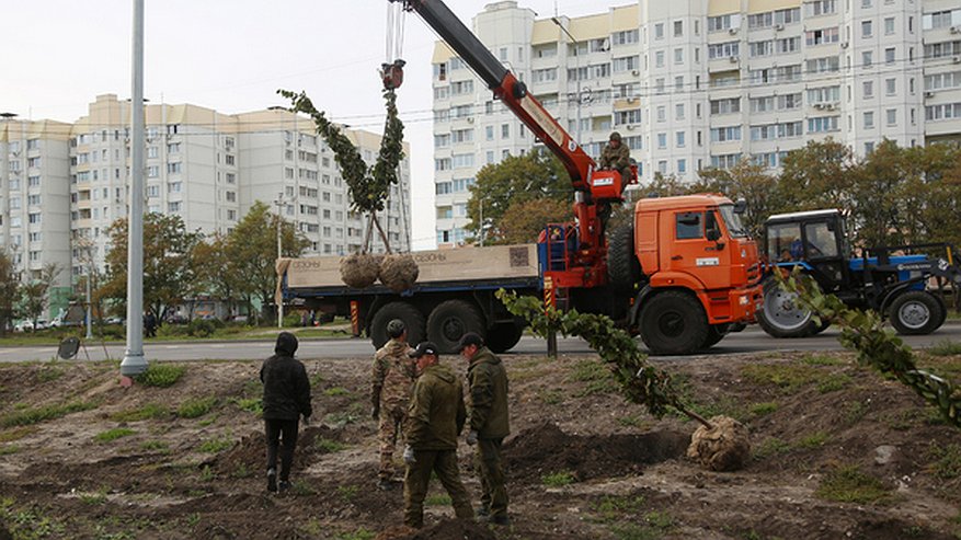 Главная картинка новости: На озеленение Воронежа планируется потратить 18 млн рублей