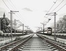 Умственно отсталый подросток закладывал муляжи бомб в электричках в Воронежской области