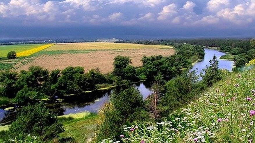 Главная картинка новости: Под Воронежем украли половину озера Круглого