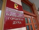 Воронежские депутаты отстаивают свои корпоративные интересы