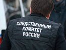 Житель Аннинского района пойдёт под суд за смертельное избиение бывшей жены