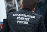 Миниатюра новости: Житель Аннинского района пойдёт под суд за смертельное избиение бывшей жены