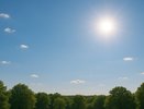 В Воронеже в эту пятницу прогнозируется солнечная и тёплая погода
